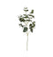 Eucalyptus Spray Green Accessories Regency Studio 