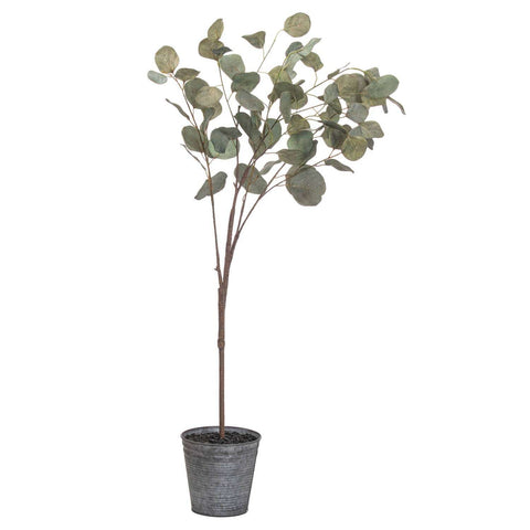 Eucalyptus Tree In Metalic Pot Accessories Hill Interiors 