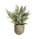 Eucalyptus with Rustic Pot Large Accessories Regency Studio 