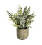 Eucalyptus with Rustic Pot Large Accessories Regency Studio 