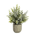 Eucalyptus with Rustic Pot Small Accessories Regency Studio 