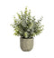 Eucalyptus with Rustic Pot Small Accessories Regency Studio 