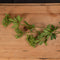 Faux Ammi Accessories Hill Interiors 