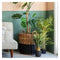 Faux Bamboo Grass Gifts & Hampers Regency Studio 