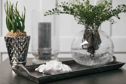 Faux Cactus Plant by Lene Bjerre Faux Flora Lene Bjerre 