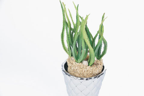 Faux Cactus Plant by Lene Bjerre Faux Flora Lene Bjerre 