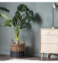 Faux Dasheen Gifts & Hampers Regency Studio 
