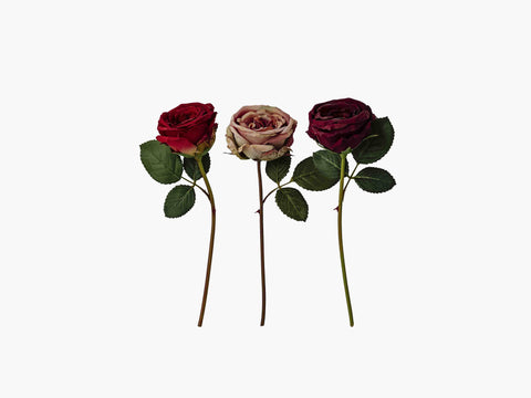Faux Flora Roses in three colours by Lene Bjerre Faux Flora Lene Bjerre Vintage pink 