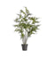 Fern Asparagus Large Accessories Regency Studio 