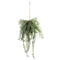 Fern Hanging Basket Arrangment Accessories Hill Interiors 