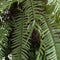 Fern Hanging Basket Arrangment Accessories Hill Interiors 