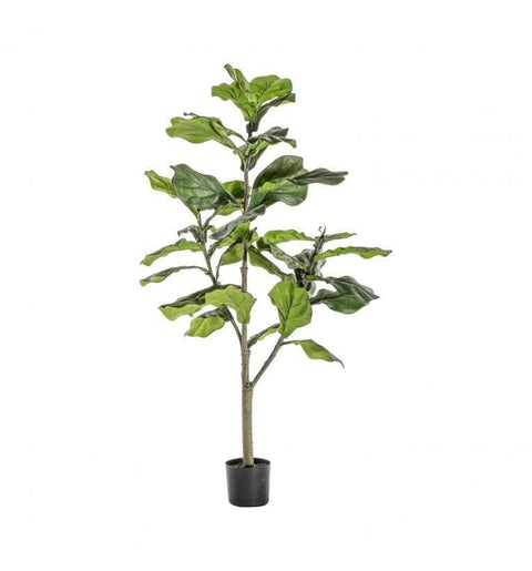 Fiddle Tree with 65 Leaves Accessories Regency Studio 