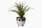 Flora Air Faux Plant by Lene Bjerre Faux Flora Lene Bjerre 