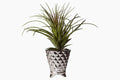 Flora Air Faux Plant by Lene Bjerre Faux Flora Lene Bjerre 