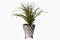 Flora Air Faux Plant by Lene Bjerre Faux Flora Lene Bjerre 