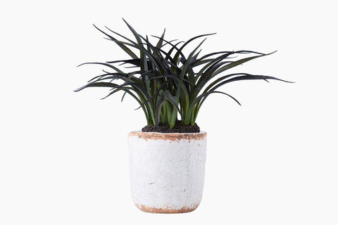 Flora Plant by Lene Bjerre Faux Flora Lene Bjerre 