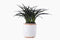 Flora Plant by Lene Bjerre Faux Flora Lene Bjerre 