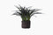 Flora Plant by Lene Bjerre Faux Flora Lene Bjerre 