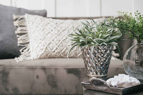 Flora Succulent Artificial Plant by Lene Bjerre Faux Flora Lene Bjerre 