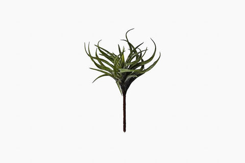 Flora Succulent Artificial Plant by Lene Bjerre Faux Flora Lene Bjerre 