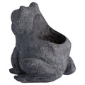 Freddie The Frog Plant Pot Holder Accessories Hill Interiors 