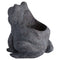 Freddie The Frog Plant Pot Holder Accessories Hill Interiors 