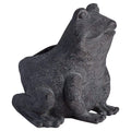 Freddie The Frog Plant Pot Holder Accessories Hill Interiors 