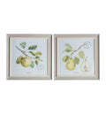 Fruit Framed Art Set of 2 Accessories Regency Studio 