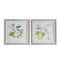 Fruit Framed Art Set of 2 Accessories Regency Studio 