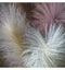 Goma Soft Feather Stem Blush (5pk) Accessories Regency Studio 