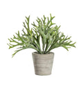 Grass with Cement Pot Accessories Regency Studio 