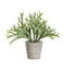 Grass with Cement Pot Accessories Regency Studio 