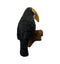 Grayson Toucan Pot Hanger (2pk) Accessories Regency Studio 