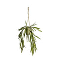 Hanging Rhipsalis with Rustic Pot Accessories Regency Studio 