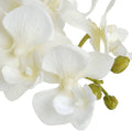 Harmony White Potted Orchid Accessories Hill Interiors 