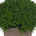 Hebe Globe Pot Accessories Hill Interiors 