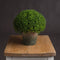 Hebe Globe Pot Accessories Hill Interiors 
