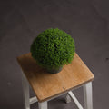 Hebe Globe Pot Accessories Hill Interiors 