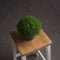 Hebe Globe Pot Accessories Hill Interiors 