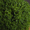 Hebe Globe Pot Accessories Hill Interiors 