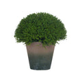 Hebe Globe Pot Accessories Hill Interiors 