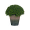Hebe Globe Pot Accessories Hill Interiors 