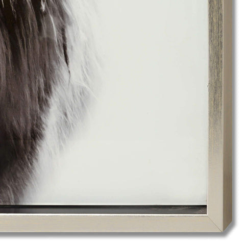Highland Cow Right Facing Glass Image with Silver Frame Accessories Hill Interiors 