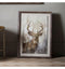 Highland Stag Framed Art Accessories Regency Studio 