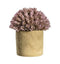 Hops Lilac with Rustic Pot Accessories Regency Studio 
