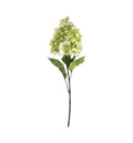 Hydrangea Paniculata Stem White Accessories Regency Studio 