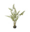 Japonicum with Soil Large Accessories Regency Studio 