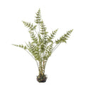 Japonicum with Soil Small Accessories Regency Studio 