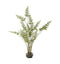 Japonicum with Soil Small Accessories Regency Studio 