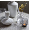 Karis Vase Clear Accessories Regency Studio 